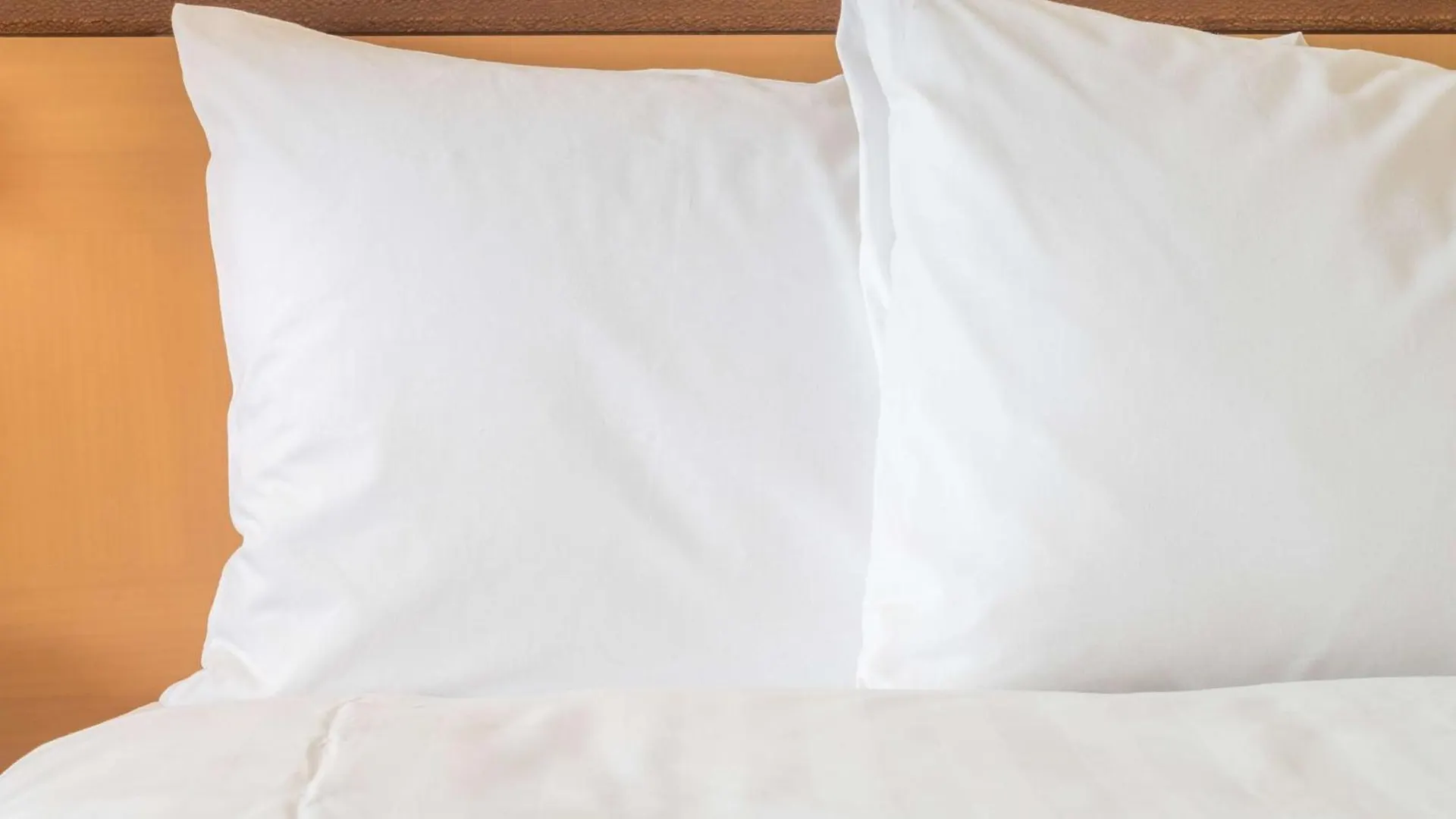 Holiday Inn Express Dresden Zentrum By Ihg Alemanha